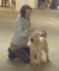a-litter2007