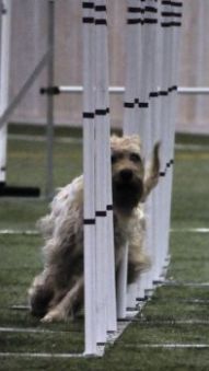 Max