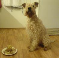 maja_10years